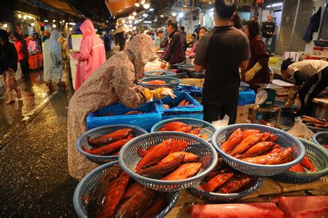 紅鐵甲魚|崁仔頂漁市巡禮–跟達人認識好料海味去！＠伊莎貝拉的分享站。